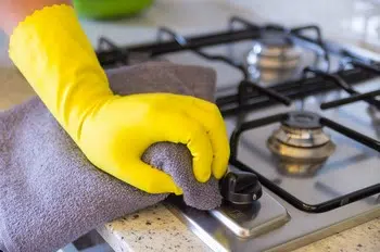 Dependable Carnation Cleaning House Services in WA near 98014