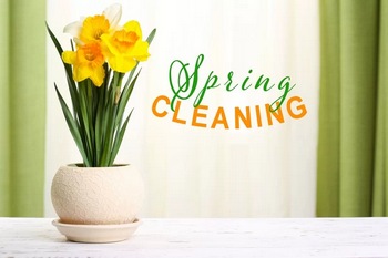 Local Preston spring cleaning services in WA near 98050