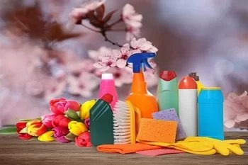 Experienced Lynnwood spring cleaning services in WA near 98036